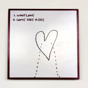 Fuzzy Sun Want Love Vinyl Record (7